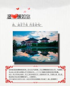 雨滴凉了秋，约茶好吗